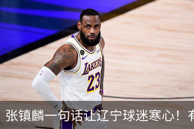 张镇麟一句话让辽宁球迷寒心！有些话不能说得太直白，耗子尾汁吧